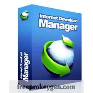 IDM Crack 6.41 Build 10 Patch + Serial Key Free Download [2023]